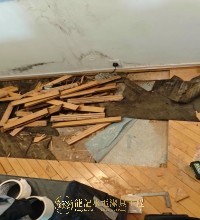 東涌 東提灣畔 木地板維修更換 新鋪瓷磚 東涌龍記 67231005