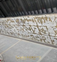 東涌 墻身瓷磚脫落維修更換工程 意大利瓷磚 東涌龍記 67231005