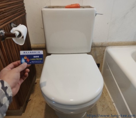 東涌東提灣畔廁所漏水/維修/更換 東涌 龍記6723 1005