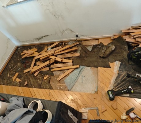 東涌 東提灣畔 木地板維修更換 新鋪瓷磚 東涌龍記 67231005